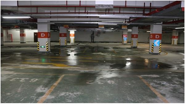 地下室香蕉视频色版免费直播價格